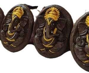 Ganesha in Circle